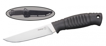 К03198 (Вектор 015305)