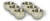 FMT175-6S6