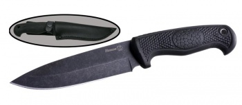 К03081 (Навага 014301)